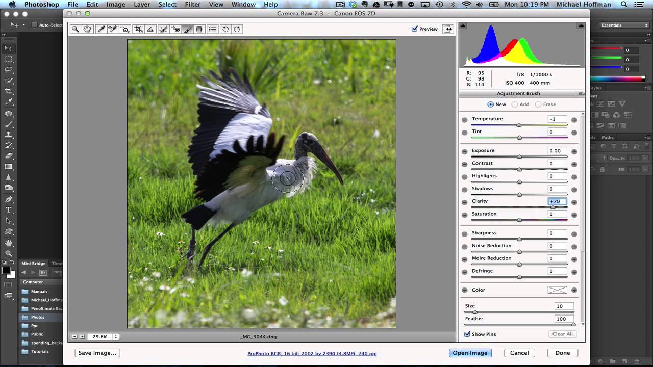 Basic Guide to Start Using Photoshop Like a Pro