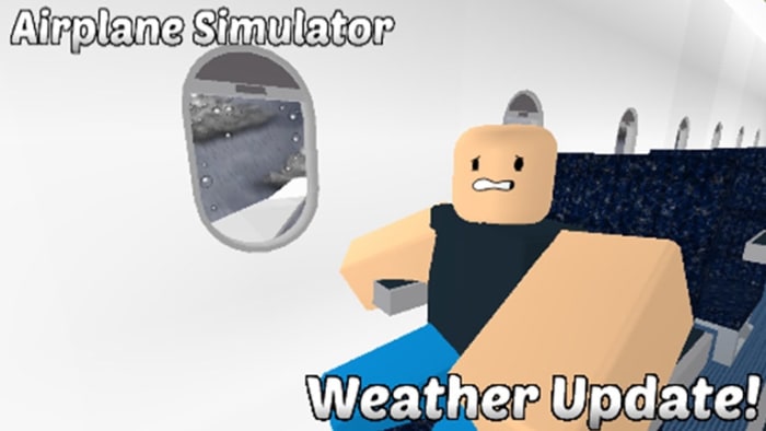 Airplane simulator