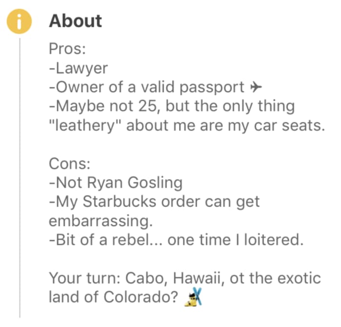 bumble bio pro con example