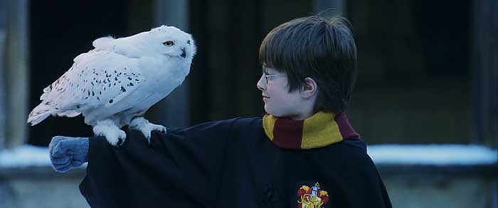 harry potter