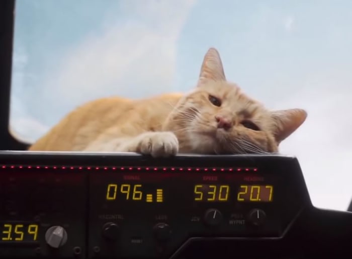 Captain Marvel Goose