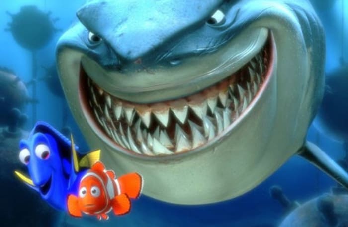 Finding Nemo Bruce