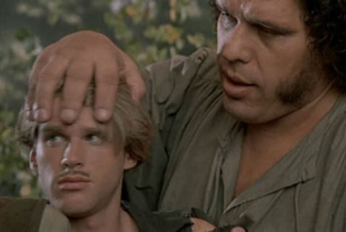 Princess Bride, Westley, Fezzik