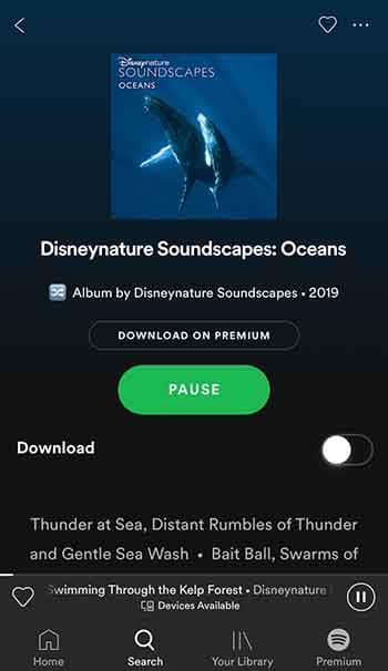 Disneynature Soundscapes: Ocean
