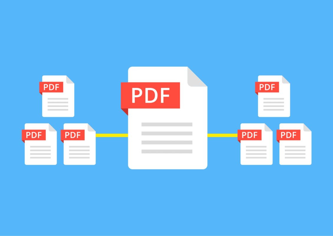 Automate PDF Data Extraction with Adobe Acrobat- Softonic English