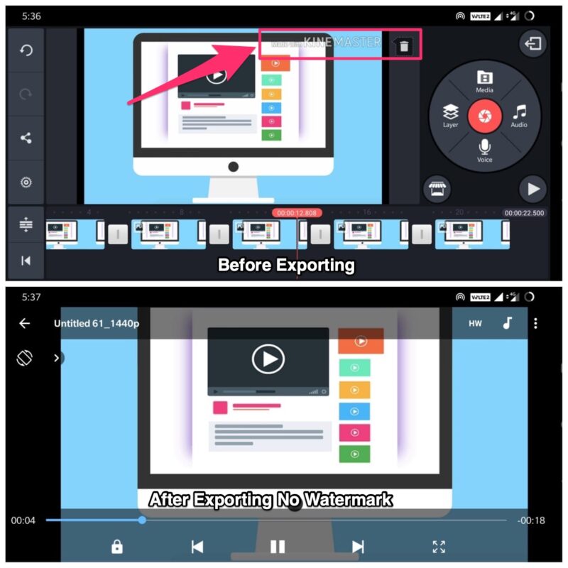 How to Get Rid of KineMaster Watermark in 3 Different Ways