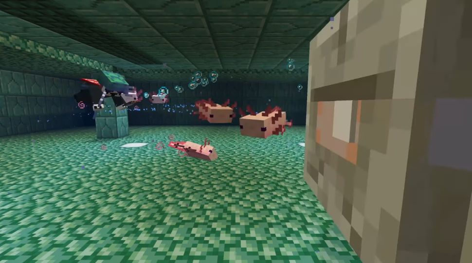 How to Get a Blue Axolotl in Minecraft