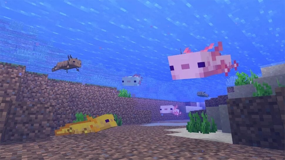 How to Get a Blue Axolotl in Minecraft