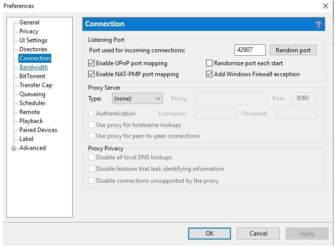 How to Set Up Proxy on uTorrent
