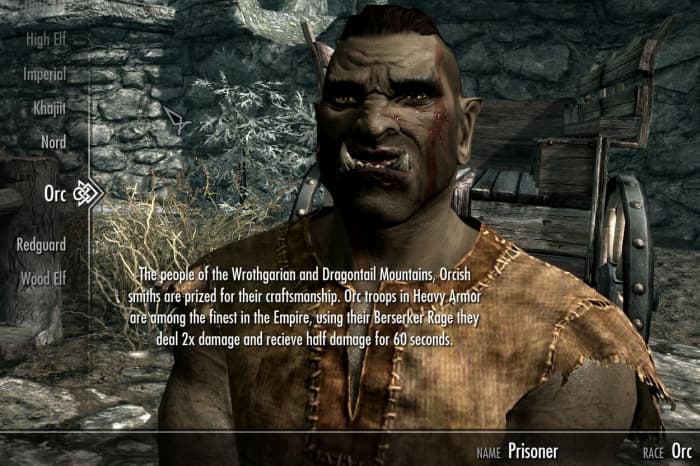 Skyrim race menu