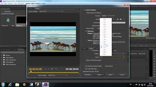 How to export Premiere Pro