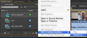 How to export Premiere Pro