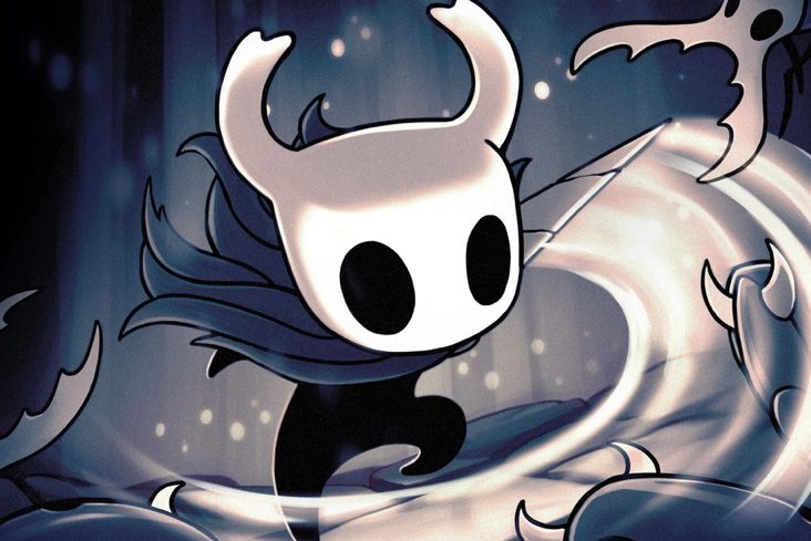 How to play HOLLOW KNIGHT