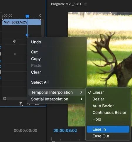 How to zoom in on Premiere Pro