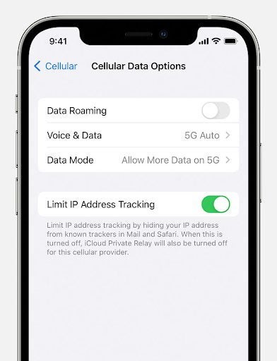 How does iCloud Private Relay work