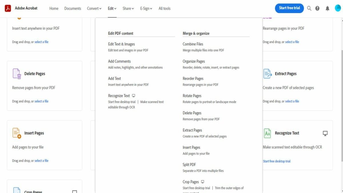 Opening Preferences in Adobe Acrobat.