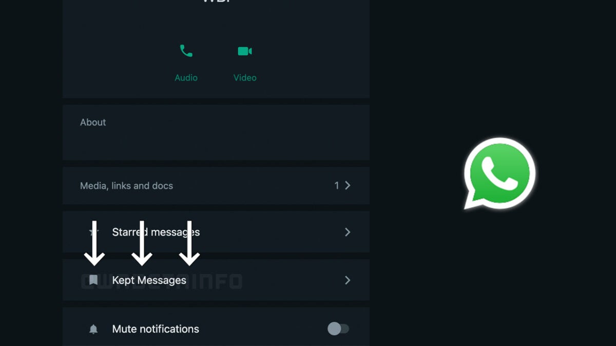 WhatsApp disappearing messages you can keep