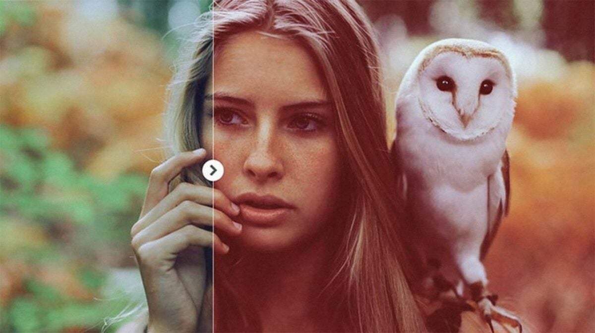 The 10 most popular Photoshop filters