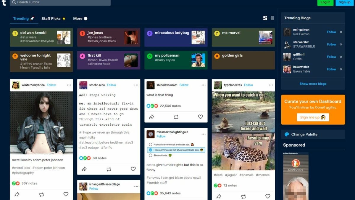 14 must-have Chrome extensions for Tumblr
