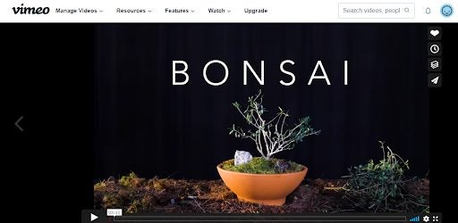 How to Use Video Downloader PLUS for Chrome