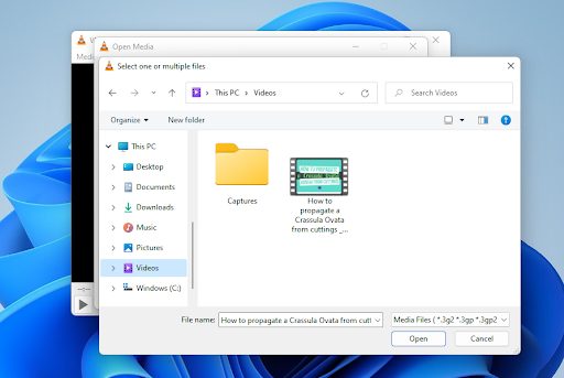 How to Convert Media Files Using VLC Media Player