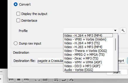 How to Convert Media Files Using VLC Media Player