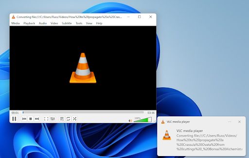 How to Convert Media Files Using VLC Media Player