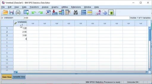 How to use SPSS for Mac