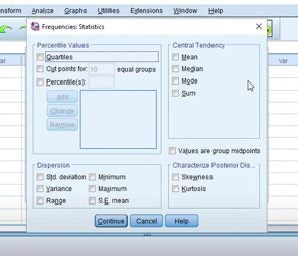 How to use SPSS for Mac