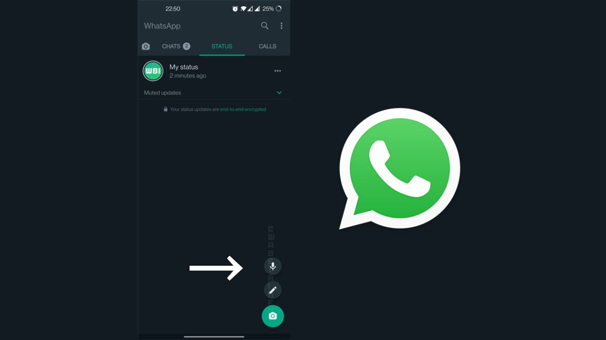 WhatsApp voice status update