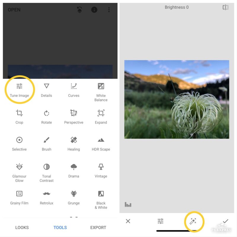 using Snapseed on Android