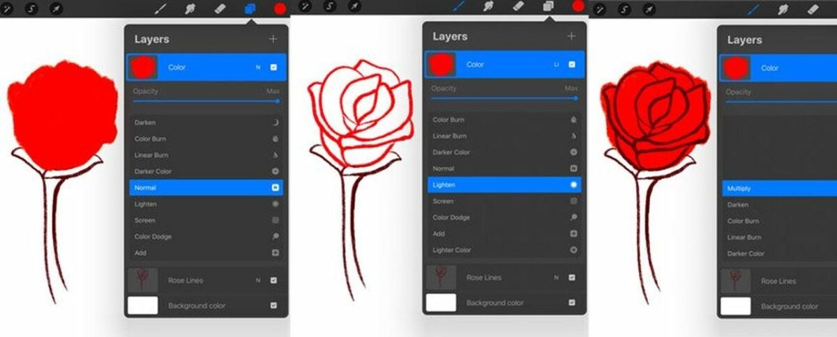 A red rose with blended colors in Procreate.