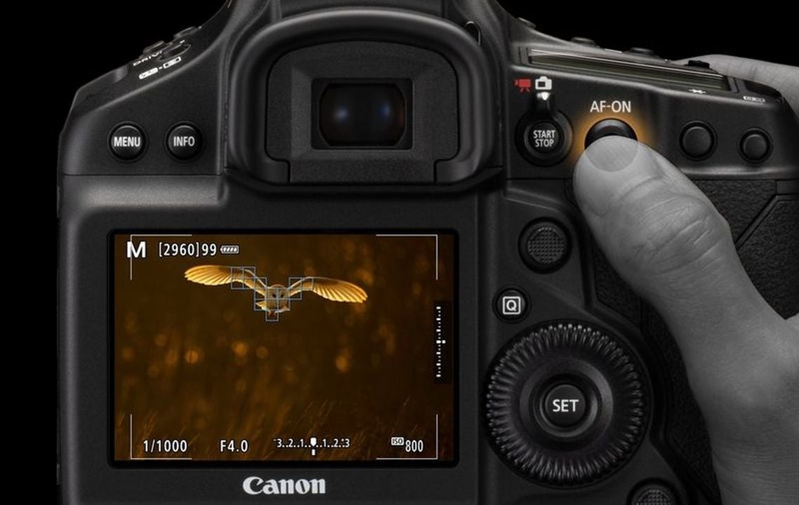 Set up your pictures in-camera_Before diving into Adobe Lightroom, leverage the tools you have in-camera to ensure you capture the highest quality of light