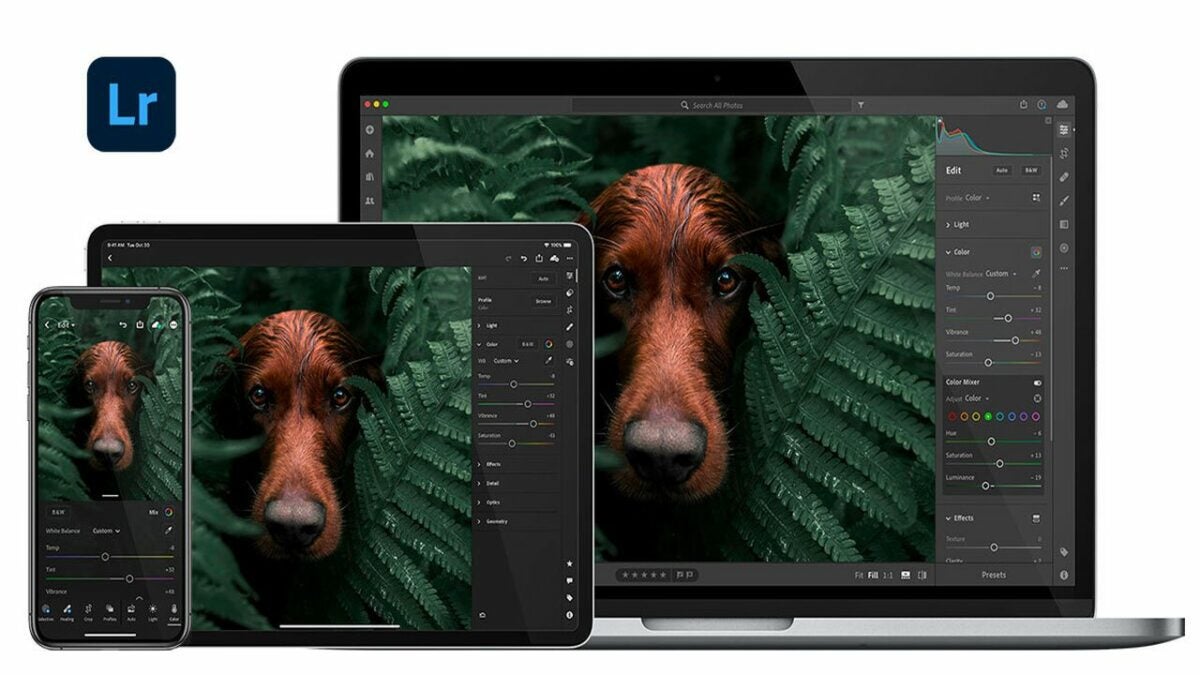 Brighten images with Adobe Lightroom