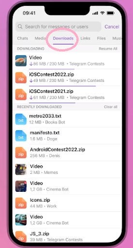 How to use Telegram Download Manager