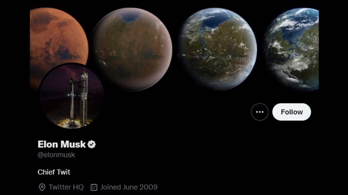 ELon Musk is the Chief Twit