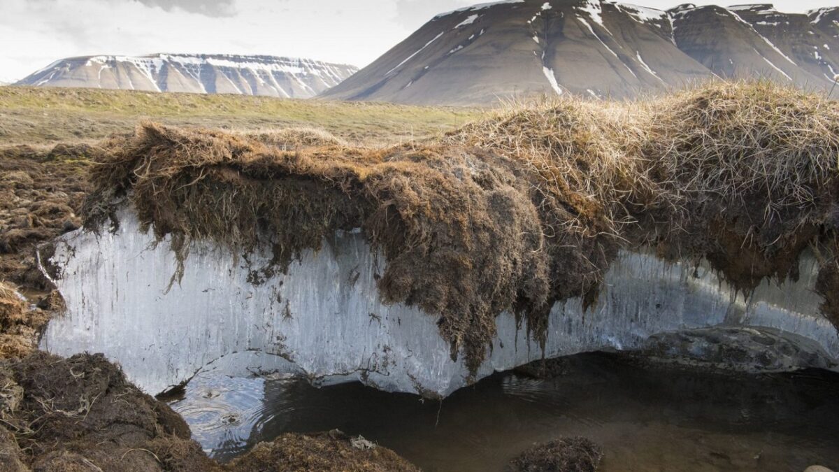 Imagen del Permafrost