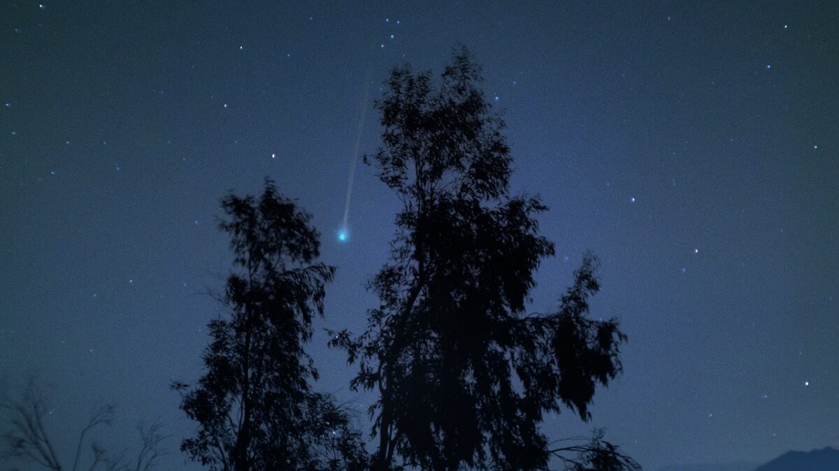 cometa nishimura como verlo en directo