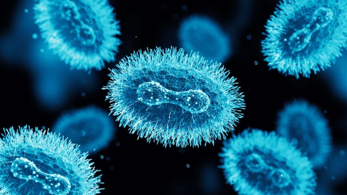 Huawei has patented a microscopic sensor to detect microorganisms using smartphones