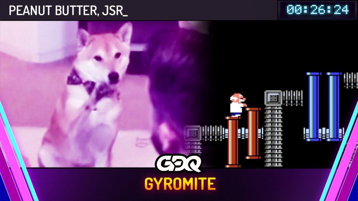 This dog has managed to complete a speedrun and no, it’s not a joke