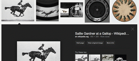 muybridge-animated-screenshot