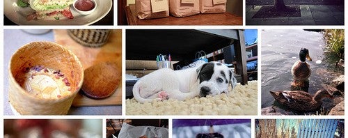 Il nuovo Flickr offre 1 TB di spazio gratis per le foto