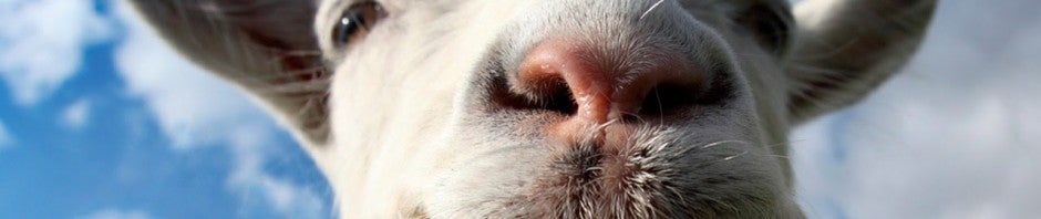 Goat Simulator: ecco l’aggiornamento che lo trasforma in MMO