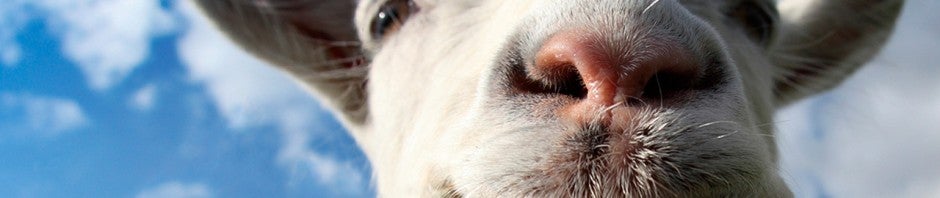 Goat Simulator sbarca su iPhone e Android