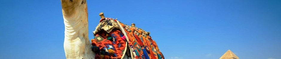 Le piramidi di Giza e l’Antico Egitto su Google Maps