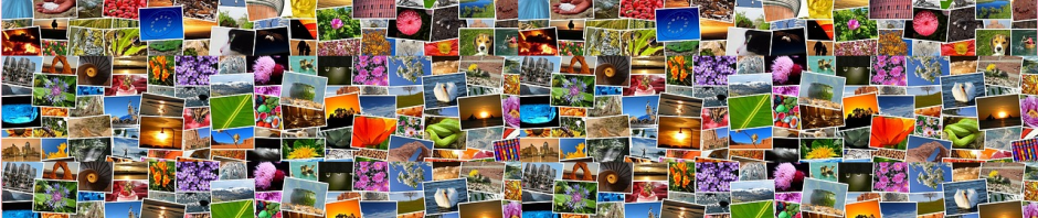 スマホにたまった大量の写真! この夏こそ一括整理