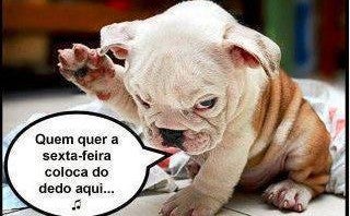 Frases para Facebook: 12 fontes de inspiração para o seu perfil