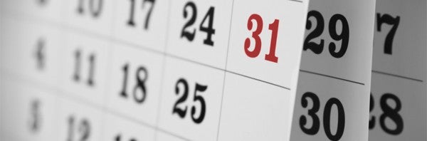 Os melhores calendários para 2013