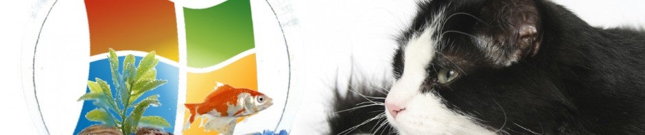 Como manter o Windows XP livre de vírus após o final do suporte em 2014