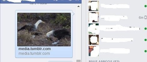 GIF animado para facebook messenger